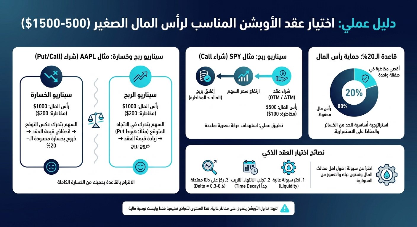 كيف تختار عقد الأوبشن المناسب لرأس مالك الصغير؟ - إنفوجرافيك تعليمي