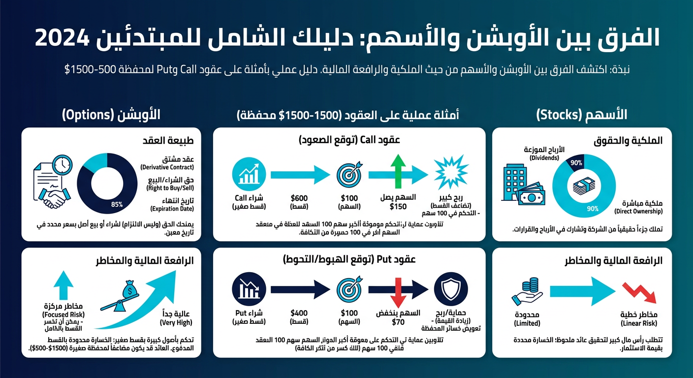 الفرق بين الأوبشن والأسهم: دليلك الشامل للمبتدئين 2024 - إنفوجرافيك تعليمي